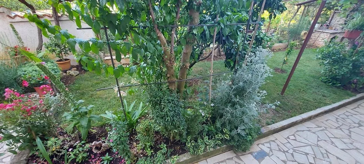 Danijela Apartment 普拉 克罗地亚